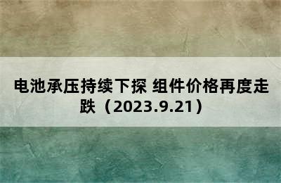 电池承压持续下探 组件价格再度走跌（2023.9.21）